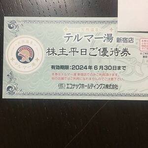 【最新】エコナック　テルマー湯　株主優待券1枚　 ミニレター対応63円　新宿歌舞伎町　2024年 6月 30日 まで エコナックホールディングス