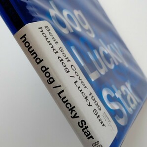 【未開封美品】ハウンドドッグ HOUND DOG / Lucky Star Best Self Cover 1999 初回限定カラーフィルム COCP30574 浮気なパレットキャットの画像6