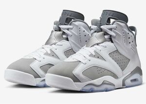 新品未使用 Nike Air Jordan 6 "Cool Grey" ナイキ エアジョーダン6 "クールグレー" 30.5cm