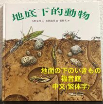 ◆希少◆「地底下的動物」中文(繁体字) 地面の下のいきもの みるずかん　小野正男　松岡達英　福音館　台湾英文雑誌社有限公司　2001年_画像1