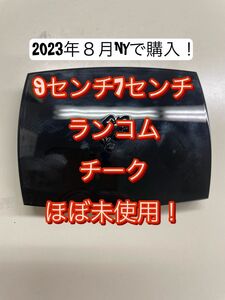 NY.で、2023年7月購入　ランコム ブラッシュ スプティル　373