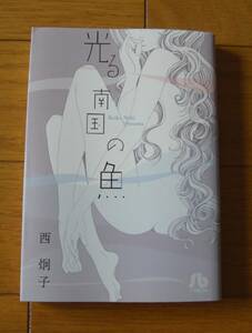 ★初版　光る南国の魚　西　炯子　１０編収録　小学館文庫　小学館