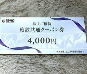 飯田グループホールディングス 施設共通クーポン券 4000円分 1枚 有効期限:2024/6/30 江の島アイランドスパ 他 株主優待券