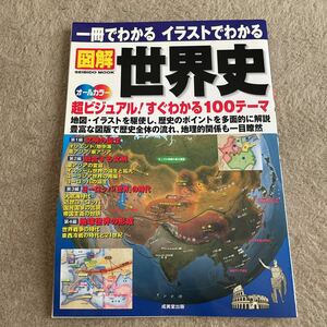 一冊でわかる　イラストでわかる　図解　世界史　オールカラー　成美堂出版　2006