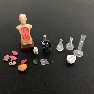 リーメント ぼくらの理科室 ぷちサンプルシリーズ まとめて 人体模型 顕微鏡を使おう 水溶液をつくる 実験 教室 ミニチュア