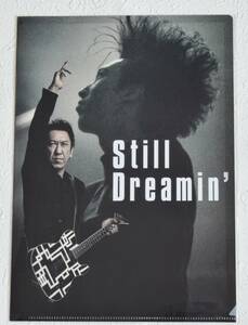 映画 Still Dreamin’ 布袋寅泰 情熱と栄光のギタリズム クリアファイル 劇場オリジナルグッズ