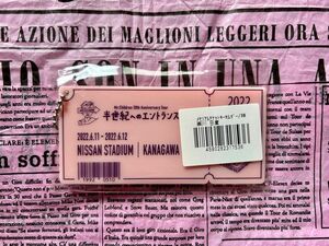 Mr.Childrenメモリアルチケットキーホルダー 神奈川 日産公演限定 ツアーグッズ 半世紀へのエントランス ミスチル ピンク