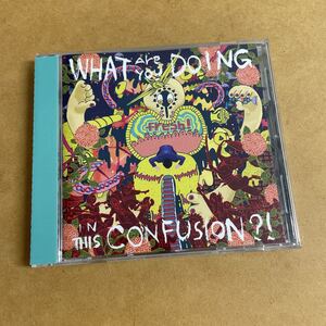 fresh!/What Are You Doing In This Confusion 秋山隆彦(downy/KAREN/日暮愛葉Loves.) 伊東真一(SPARTA LOCALS/HINTO) Music From The Mars