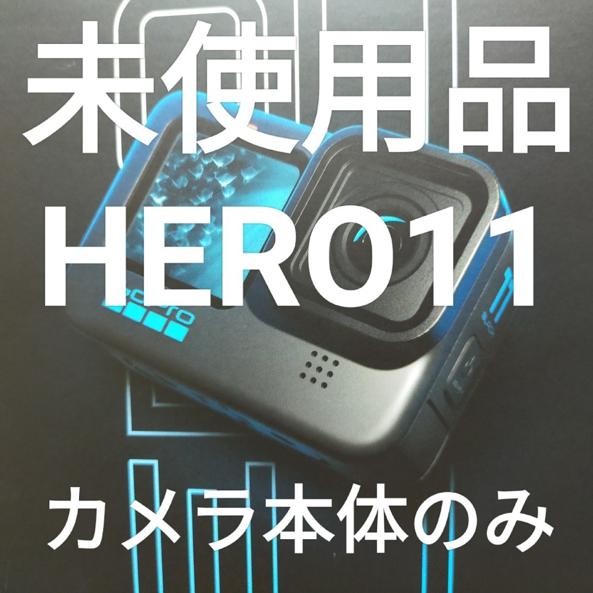 2023年最新】ヤフオク! -gopro hero11 blackの中古品・新品・未使用品一覧