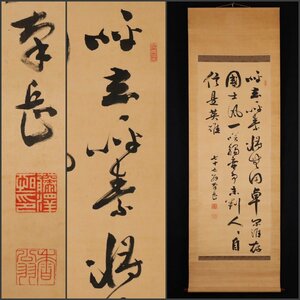 【模写】吉】9673 藤沢南岳 書 讃岐高松藩士 儒者 大阪通天閣命名者 書家 掛軸 掛け軸 骨董品