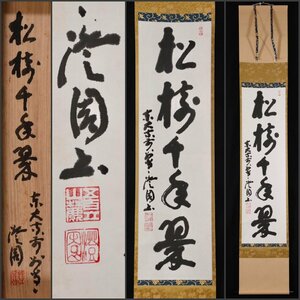 【模写】吉】9659 上野澄園 書「松樹千年翠」 共箱 華厳宗管長 東大寺205世別当 仏教 茶掛け 茶道具 禅語 掛軸 掛け軸 骨董品