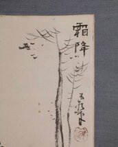 【模写】吉】9728 中村不折 「霜降」 洋画家 書家 中国画 茶掛け 茶道具 掛軸 掛け軸 骨董品_画像5