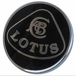 ロータス LOTUS エナメル ピンバッチ ピンバッジ 黒 英国製