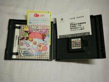 DS　ミスタードリラー　ドリルスピリッツ　(ケース・説明書・ハガキ付)_画像2