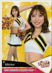 【舞65 Shino TigersGirls】レギュラーカード ホロPPパラレル BBM チアリーダー 2023 舞