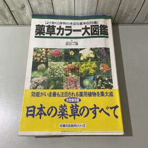 ●薬草カラー大図鑑●伊沢一男 よく効くと評判の身近な薬草625種 主婦の友百科シリーズ/植物/薬効/栽培/採取法/美容/健康/病気★6116