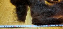 ●フライマテリアル●ヒグマの毛皮 端切れ（D8） 羆 熊 毛皮 / DIY　ハンドクラフト レザークラフト 毛鉤 毛針 フライ_画像2