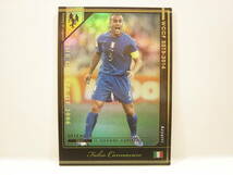 Panini WCCF 2013-2014 HOLE ファビオ・カンナバーロ　Fabio Cannavaro 1973 Italy　Azzurri 1997-2010 History Of Legends_画像1