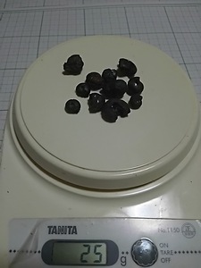 【新品】【大量】モロッコ産　ヘマタイト化　ゴニアタイト化石　黒色　こげ茶色　合計２５ｇ　１１個　１０～１７ｍｍ