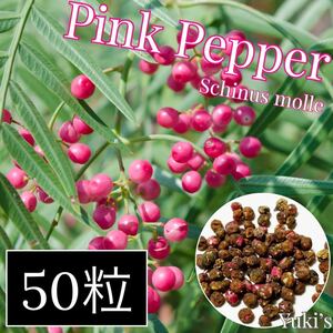ピンク・ペッパー 種子x50[耐寒性スパイスの木] Schinus molle