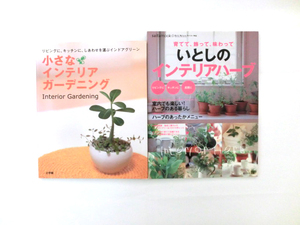 [ free shipping ] small interior gardening |. considering. interior herb 