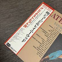 【帯付】柳ジョージ&レイニーウッド グレイテストヒット20 GEORGE YANAGI RAINY WOOD GRATEST HITS 20 / 2LP 2枚組レコード / BMC-7012 /_画像4