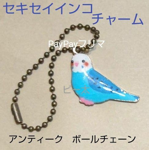 セキセイインコ 白青 チャーム ハンドメイド