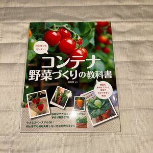 コンテナ野菜づくりの教科書　初心者でもカンタン！ 松井孝／監修