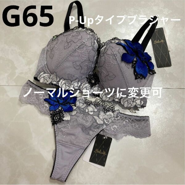 サルート　76G 空中庭園　P-Upタイプブラジャー G65 ソング　M GY