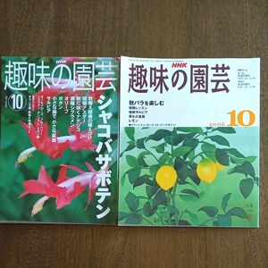 NHK趣味の園芸　2001年/2006年　10月号　バックナンバー　2冊