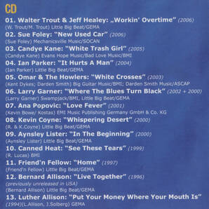 2枚組（CD＋DVD）BLUES ROCK：RUF RECORDS ANTHOLOGY／12 YEARS OF “WHERE BLUES CROSSES OVER” Sue Foley, Ana Popovi etc.の画像5