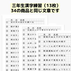 76小学3年生 方眼ノート 練習 書き方 ひらがなカタカナ 美文字 習字 硬筆 書き初めの画像4