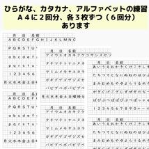 76小学3年生　方眼ノート 練習　書き方　ひらがなカタカナ　美文字　習字　硬筆 書き初め_画像2