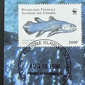 コモロ 1998年発行 シーラカンス 魚 切手 MC マキシマムカードの画像3