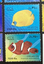 イラン 2009-11年発行 魚 小型 切手 未使用 NH_画像8