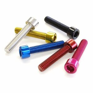 【定形外OK！】ステンレスカラーボルト M6×30mm ゴールド