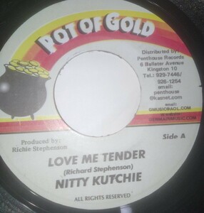 レゲエ7 Nitty Kutchie Love Me Tender Yankie B Getting Loose