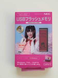 AKB48 渡辺麻友 イラスト入り USBフラッシュメモリ 非売品 未使用