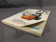 0C3C2　The Basic　ザ・ベーシック　ざべ　1995年1月～12月号 揃い12冊セット　HTML　OS/2 Warp　技術評論社　_画像3