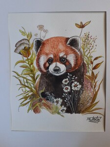 Art hand Auction panda rojo acuarela, cuadro, acuarela, dibujo de animales