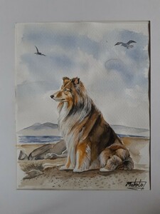 Art hand Auction Watercolor painting Beautiful rough collie, Painting, watercolor, Animal paintings