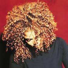 Velvet Rope ジャネット・ジャクソン 輸入盤CD