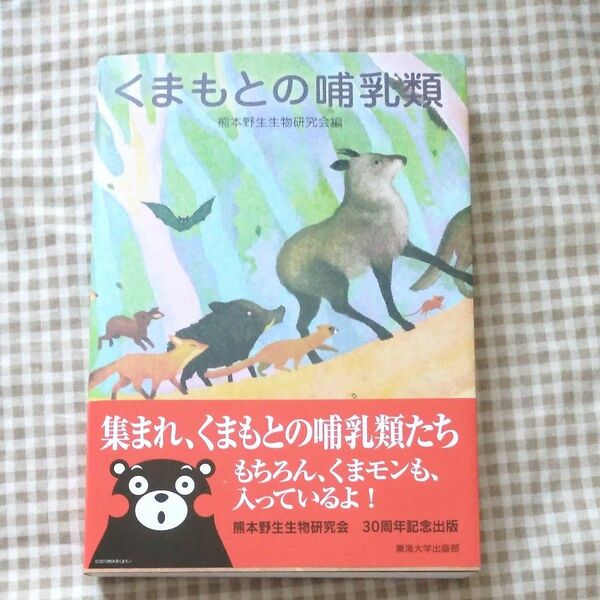 くまもとの哺乳類 熊本野生生物研究会／編