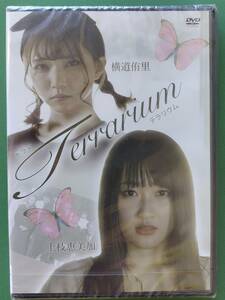 【未開封 DVD】Terrarium テラリウム 　横道侑里 上枝恵美加【303889】送料込み！