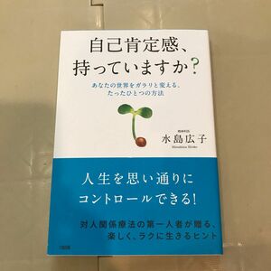 ※購入前にコメントください※ 自己肯定感、持っていますか？　あなたの世界をガラリと変える、たったひとつの方法 水島広子／著