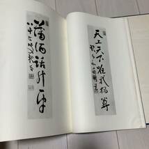 B 帙入り 昭和47年発行 書道 和本 「コロタイプ精印 梧竹名品集」_画像4