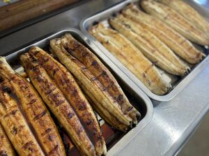 【国産うなぎ10尾】　蒲焼&白焼き　炭焼き鰻　送料込み