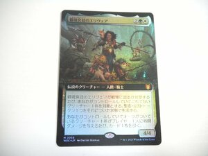 D58【MTG】僻境宮廷のエリヴェア 拡張アート Foil エルドレインの森