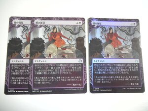 D406【MTG】闇の後見 Foil 非Foil×2 3枚セット エルドレインの森