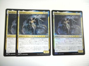 D427【MTG】麻痺海溝のシャレー Foil ×1 非Foil ×2 3枚セット エルドレインの森